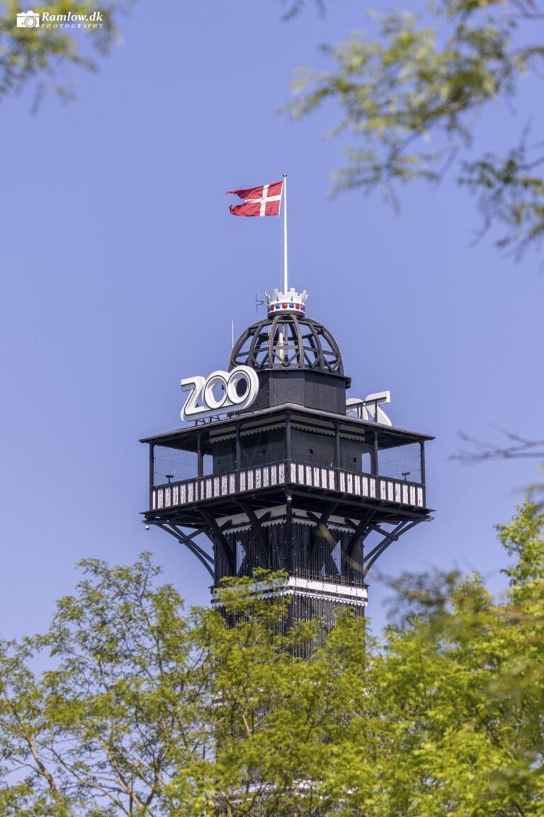 Natur – Det karakteristiske Zoo-tårn i København med dannebrog i vinden og blå himmel